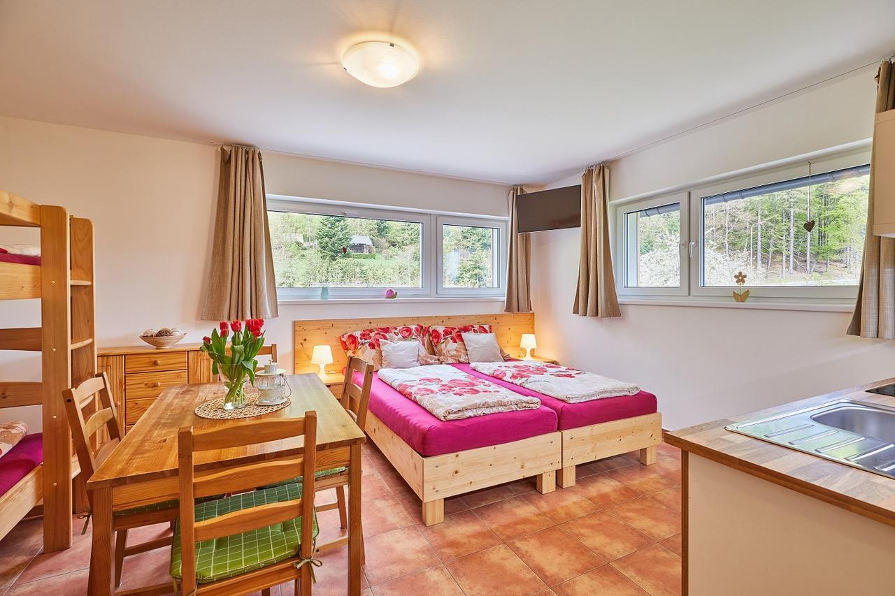 Skipension Janske Lazne Exterior foto